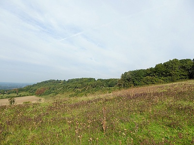 Click image for larger version. 

Name:	North Downs 2.jpg 
Views:	156 
Size:	97.4 KB 
ID:	14015