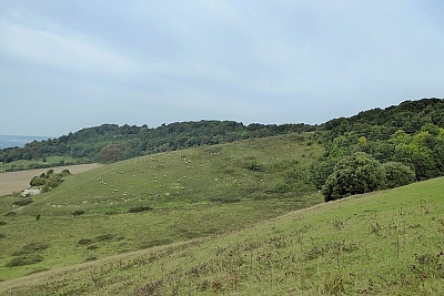 Click image for larger version. 

Name:	North Downs 1.jpg 
Views:	164 
Size:	98.6 KB 
ID:	14014