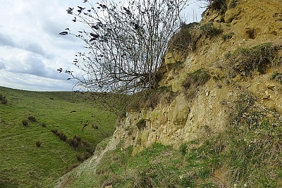 Click image for larger version. 

Name:	Chalk Cliff.jpg 
Views:	162 
Size:	98.1 KB 
ID:	14009