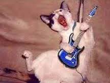 Name:  catguitar.jpeg
Views: 210
Size:  5.1 KB