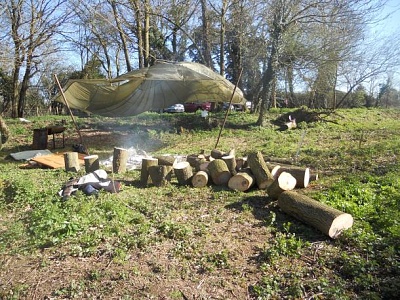 Click image for larger version. 

Name:	17 Firewood.jpg 
Views:	131 
Size:	97.9 KB 
ID:	7926