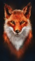 Nativewood's Avatar