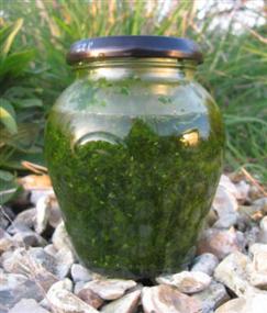 wild-garlic-puree